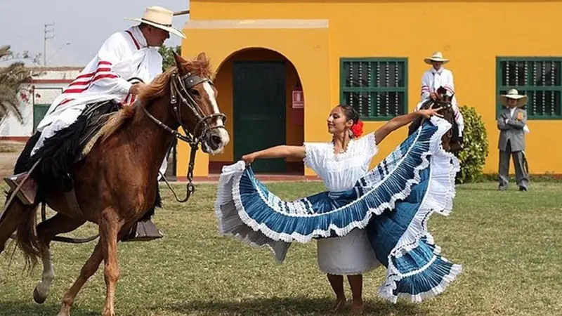 Peruvian Paso horse and marinera show, with lunch