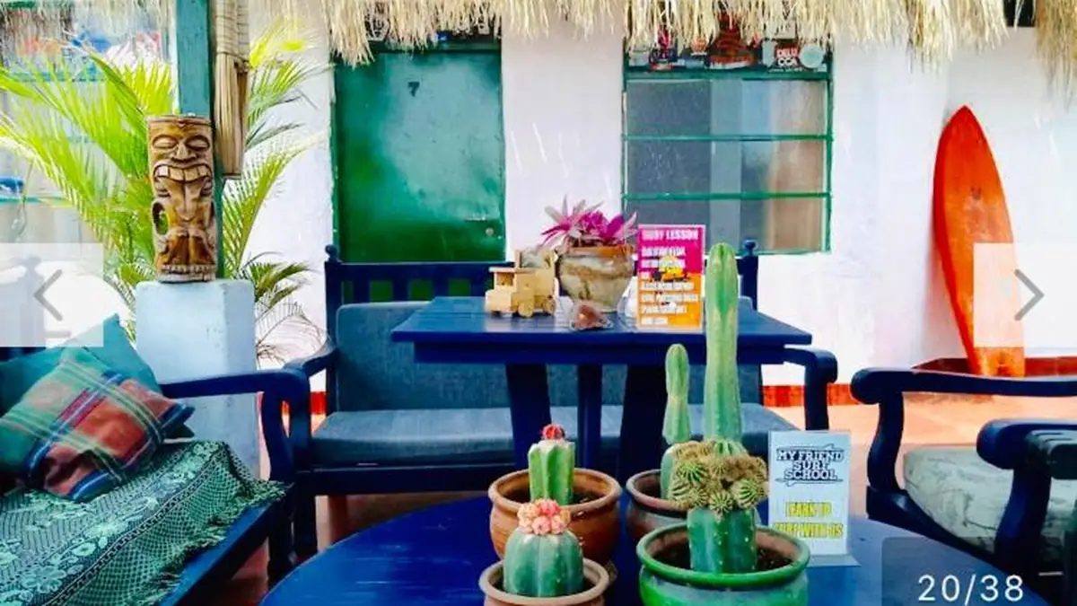 Covered terrace at My Friend Surf Hostal, with armchairs, cacti and a surfboard